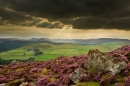 Derwent valley at dusk