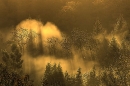 mist-rising-at-dawn