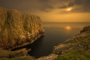 Nesting sea bird colony at dusk, Ramsey Island, Wales