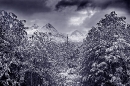 tierra-del-fuego-argentina