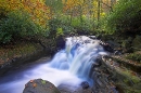 Woodland waterfall