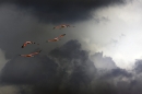 flamingos in flight
