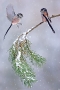 long-tailed-tits-in-snowfall