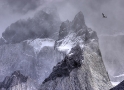 andean-condor-in-flight-over-mountain-peaks