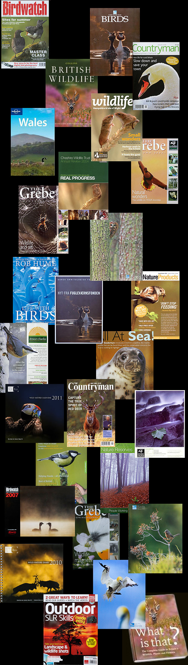 Front covers - magazines books and calendars
