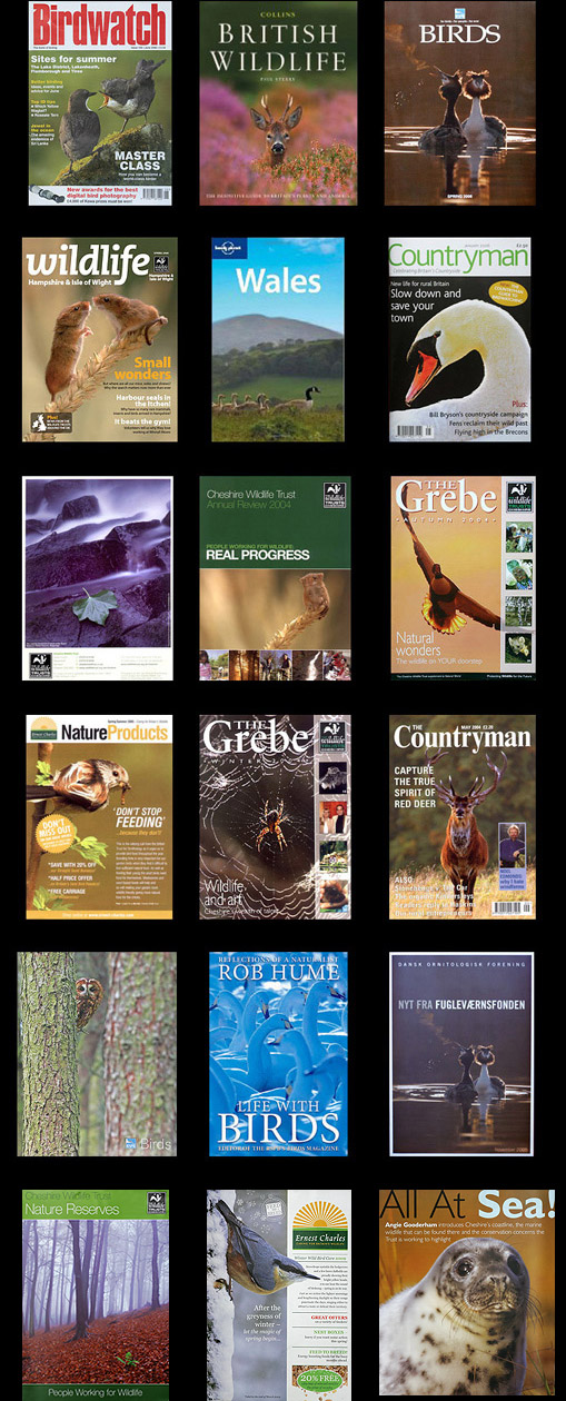 magazine and books - front covers