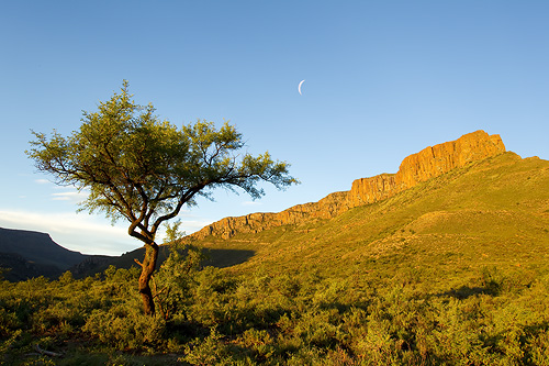 moon rising over cliffs