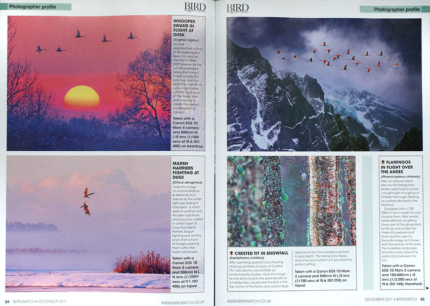 Birdwatch magazine 2