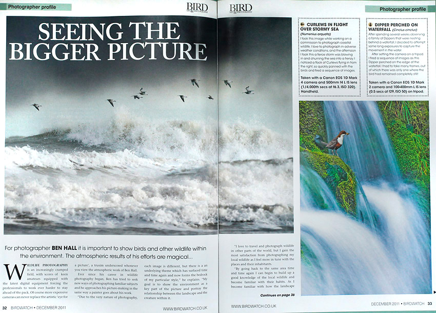 Birdwatch magazine